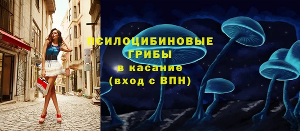 спиды Липки