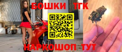 индика Беслан