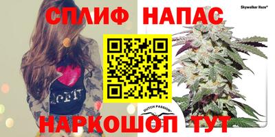 дмт Волжск