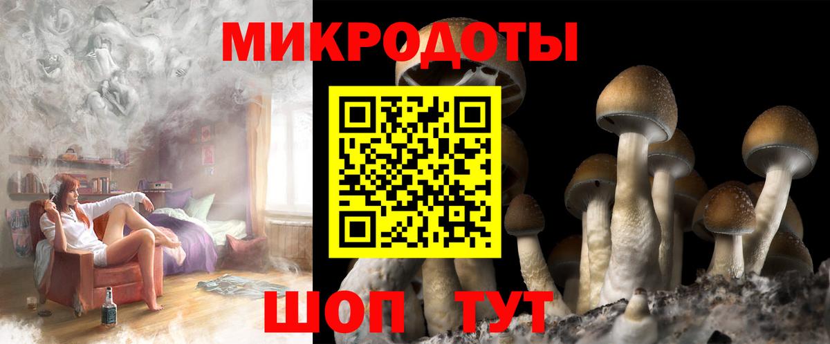 Галлюциногенные грибы прущие грибы Еманжелинск